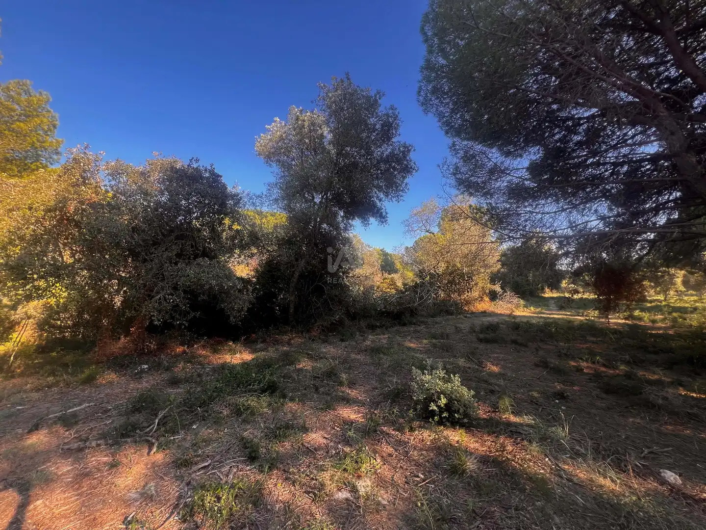 Residencial en venda en Palamós