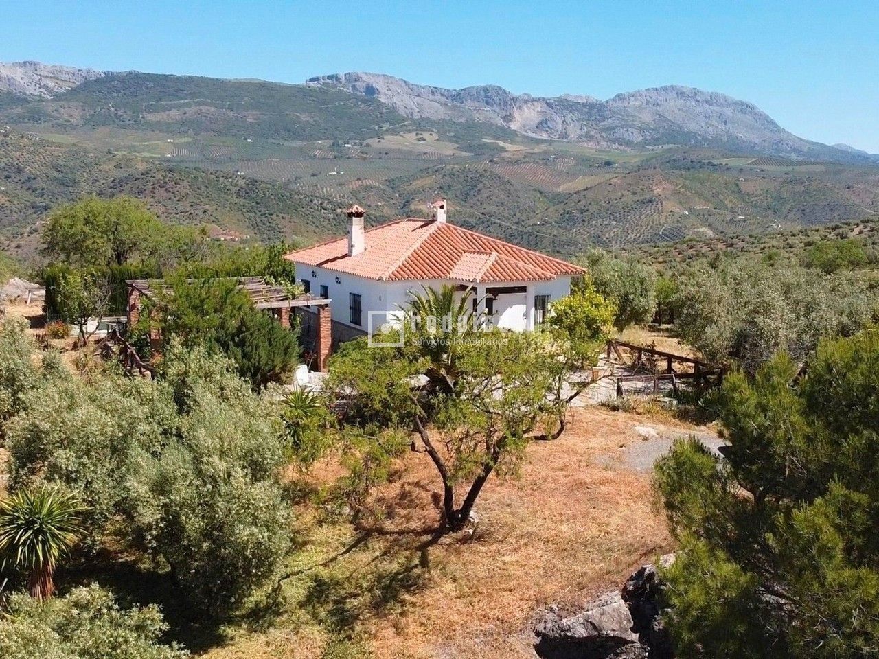 Vista exterior de Casa o chalet en venta en Colmenar con Terraza, Trastero y Piscina