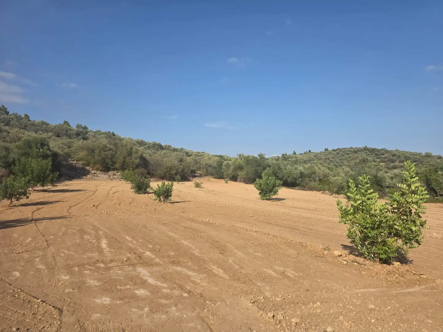 Terreno rustico in vendita a Mas de Barberans