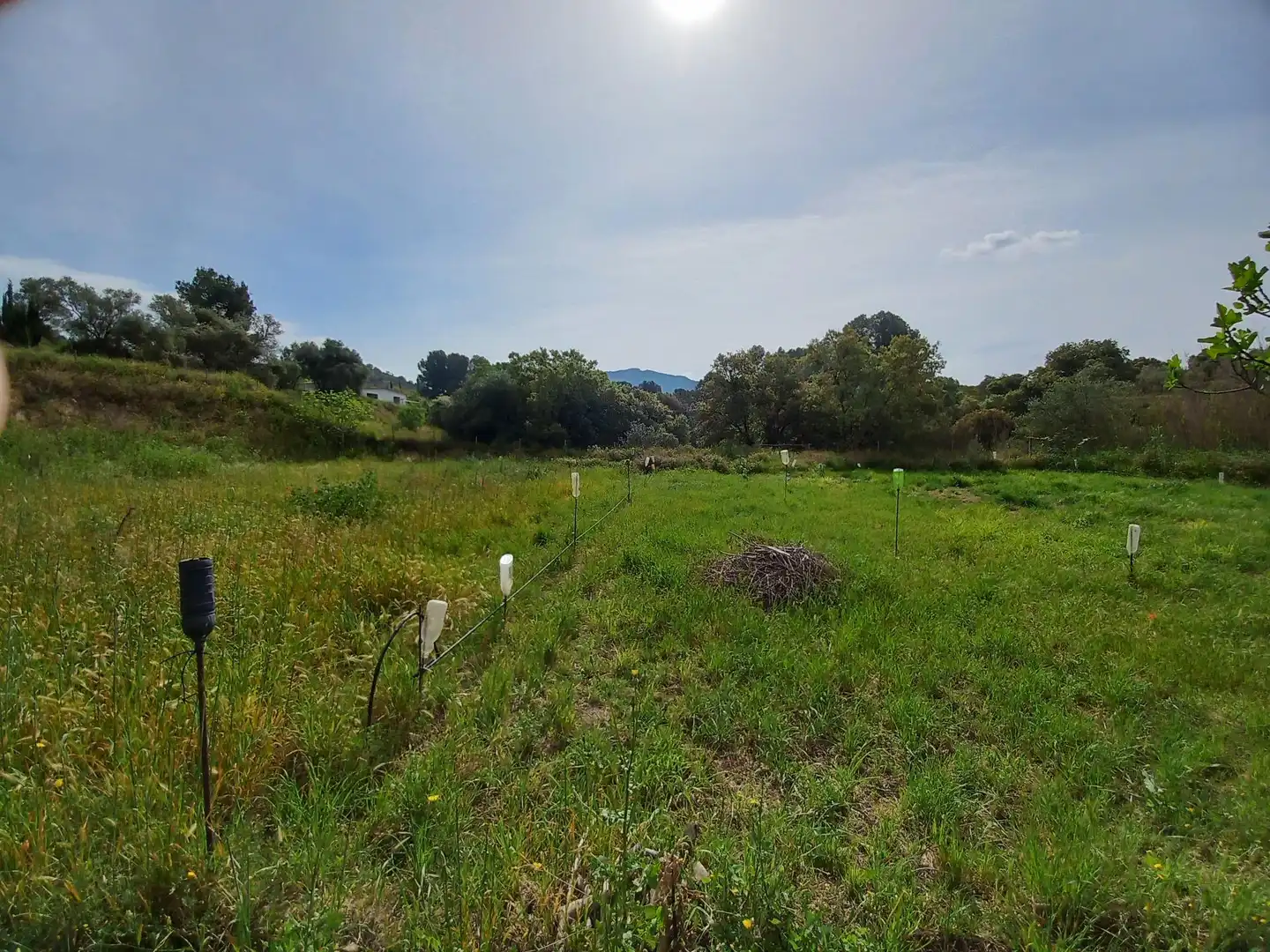 Terrain rustique à vendre à Ginestar, imagen 9