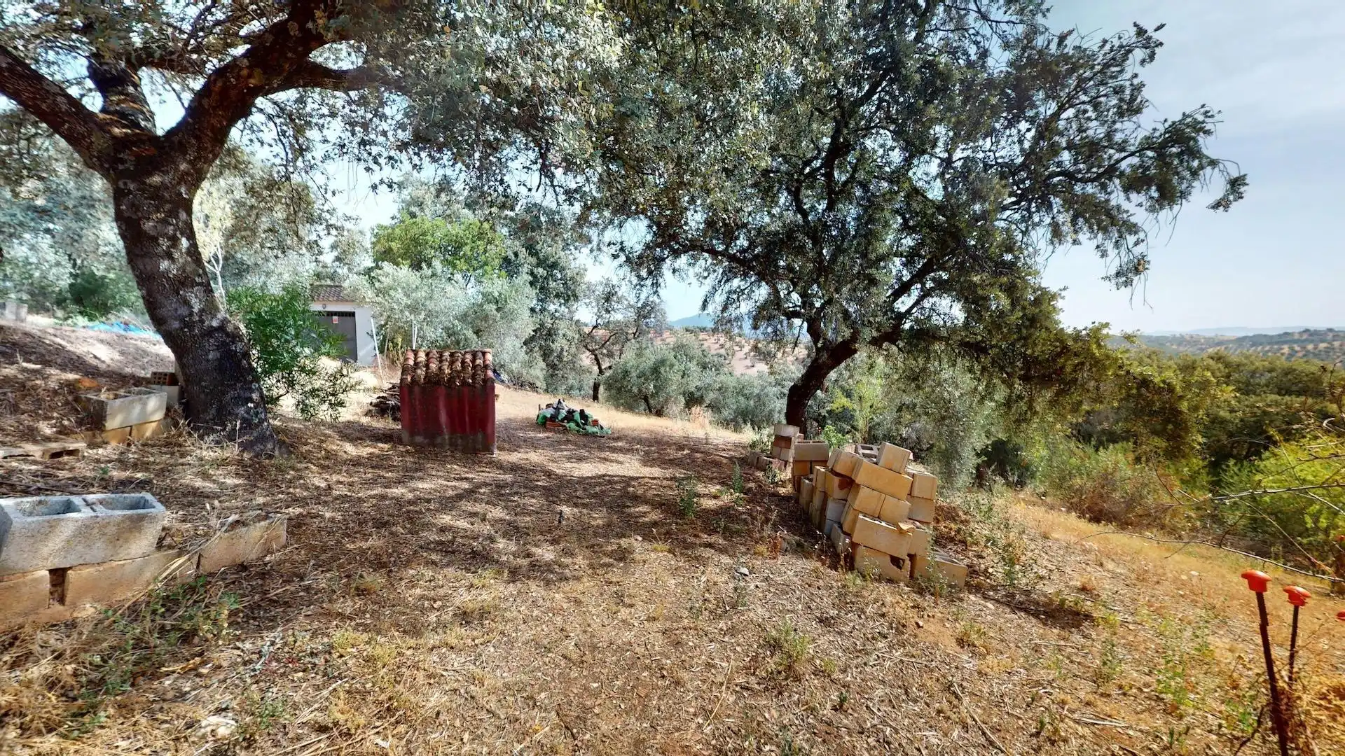 Houses for sale in Montoro  with Private garden and Terrace