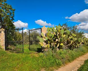 Jardí de Finca rústica en venda en Ronda amb Jardí privat