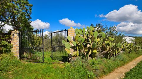 Photo 2 of Country homes for sale in San Cristóbal, Ronda