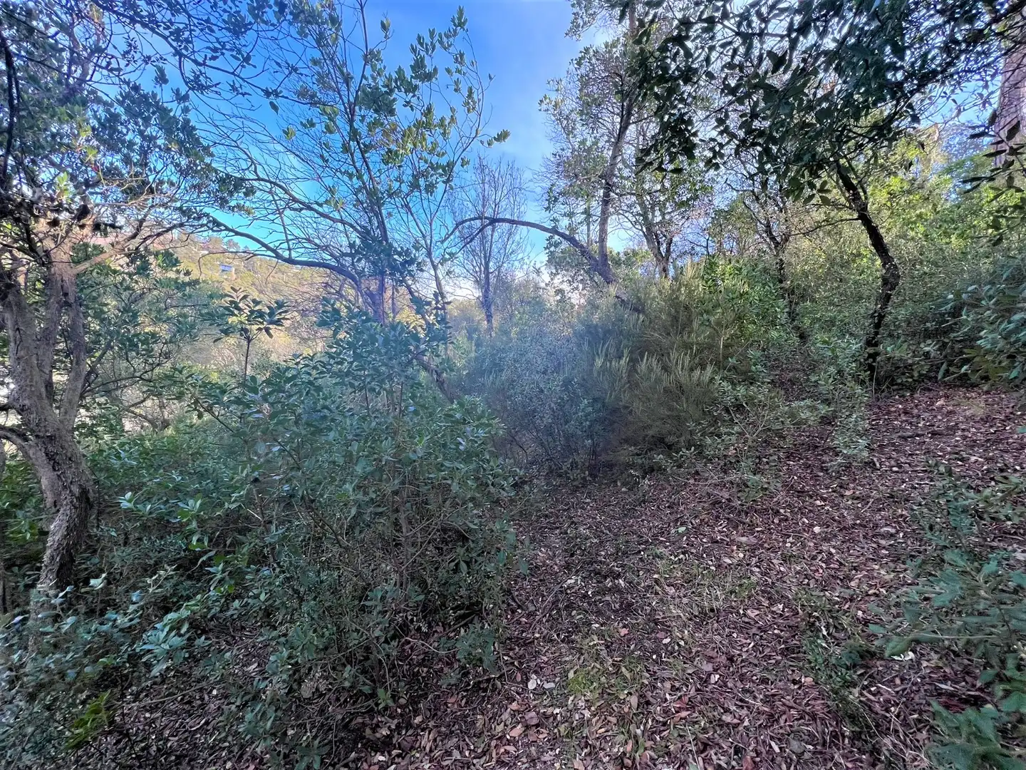 Terreno residencial en venta en Carrer Torrent del Llort 35, imagen 11