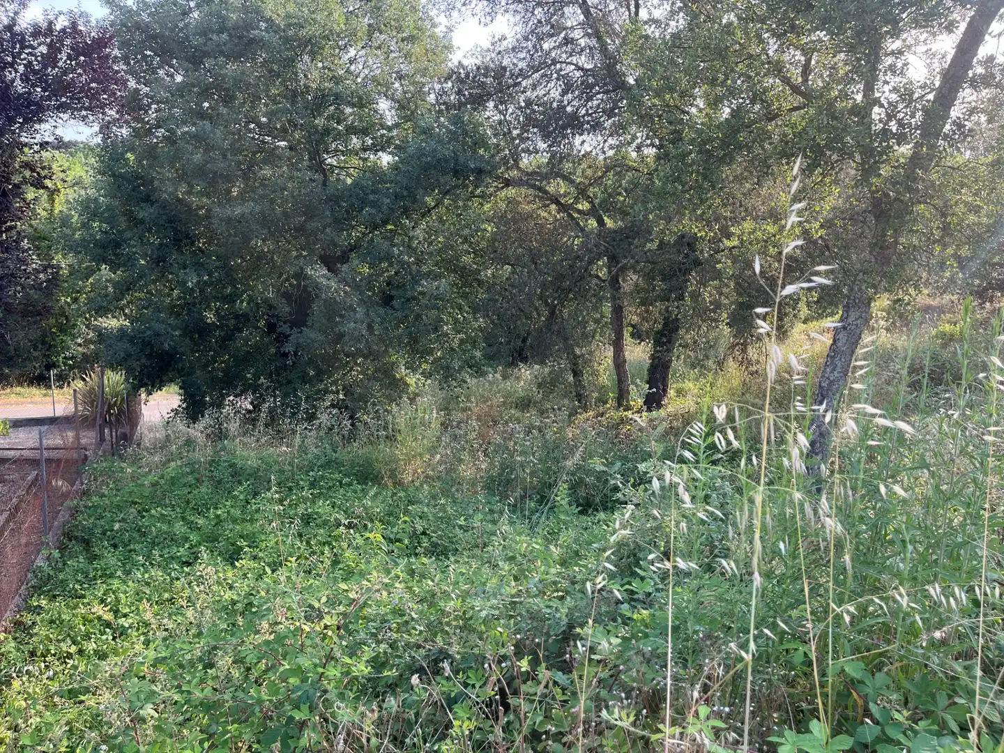 Residencial en venda en Bescanó