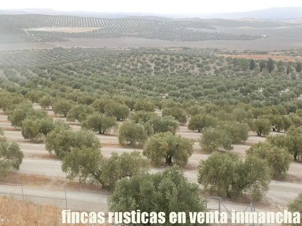 Terreni e lotti in vendita a Andújar, imagen 10