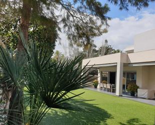 Jardí de Casa o xalet en venda en Jacarilla amb Piscina