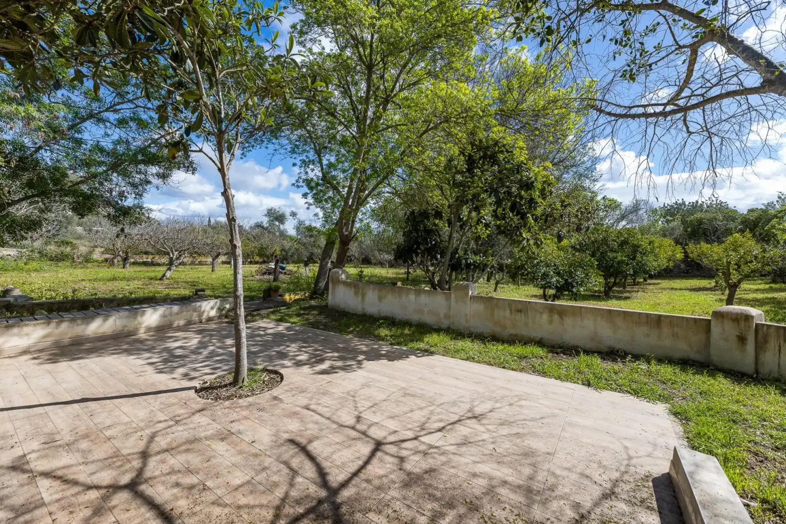 Jardí de Casa o xalet en venda en  Palma de Mallorca amb Parquet, Terrassa i Traster