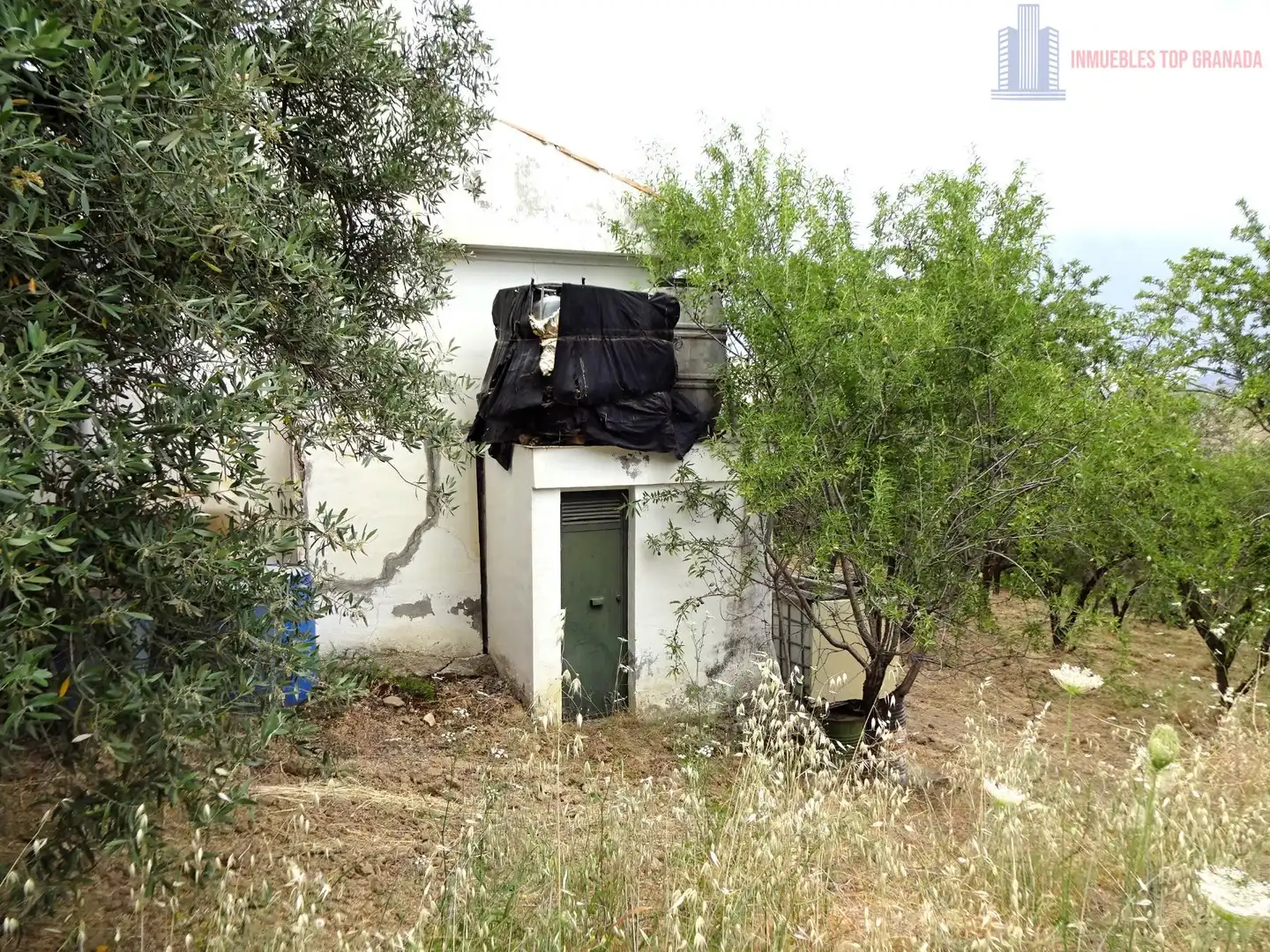 Vista exterior de Finca rústica en venda en Pinos Genil