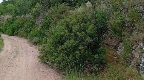 Foto 2 de Finca rústica en venda a Corbera d'Ebre, Tarragona