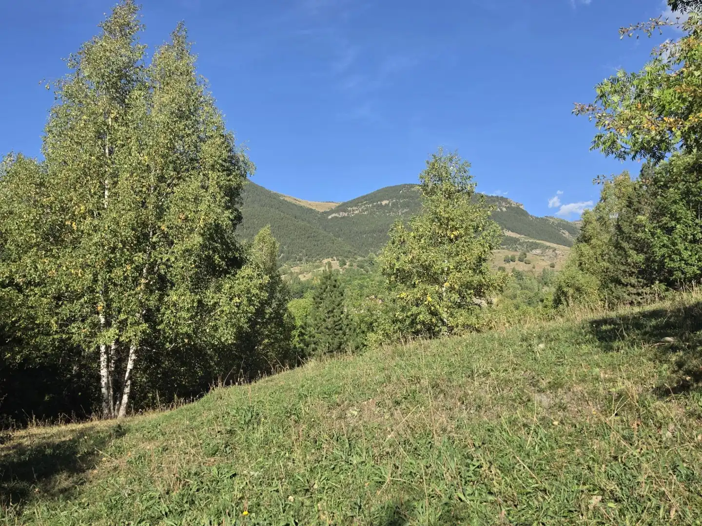 Lands and plots for sale in Benasque, imagen 4