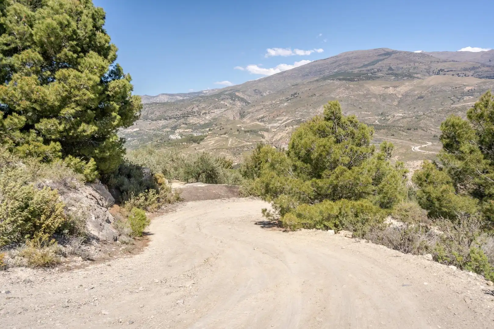 Exterior view of Land for sale in El Pinar