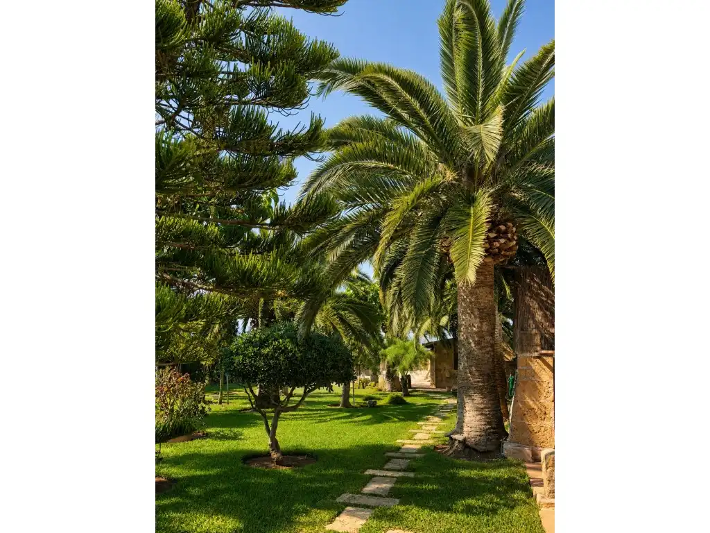 Garten von Country house zum Verkauf in  Palma de Mallorca mit Klimaanlage