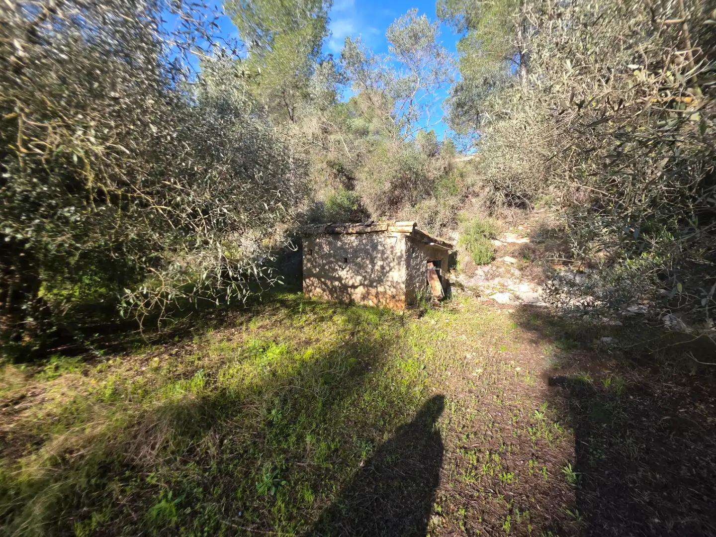 Terreno rústico en venta en Benifallet, imagen 13