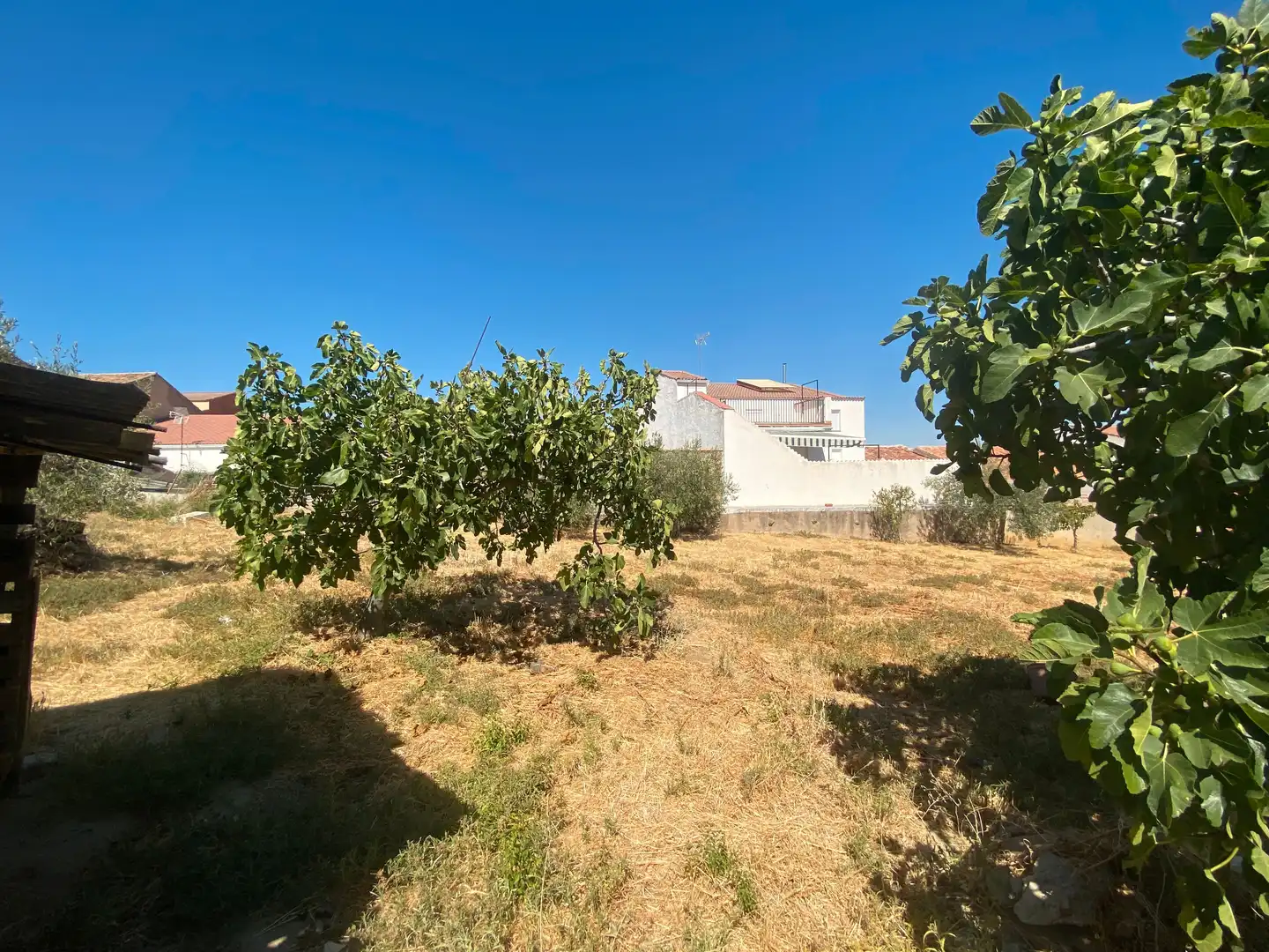 Finca rústica en venda en Cabeza del Buey amb Traster