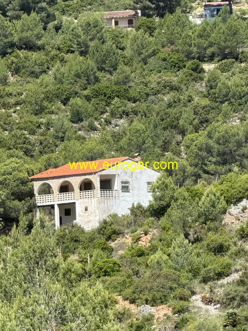 Vista exterior de Finca rústica en venta en Chiva