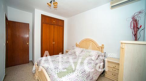 Foto 3 de Pis de lloguer a Avenida de Carlos III, 4, Sagunto - Edisol, Córdoba