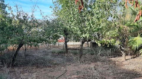 Photo 2 of Residential for sale in  Cuesta Cuesta del Tesoro 46, 46, Las Navas de la Concepción, Sevilla