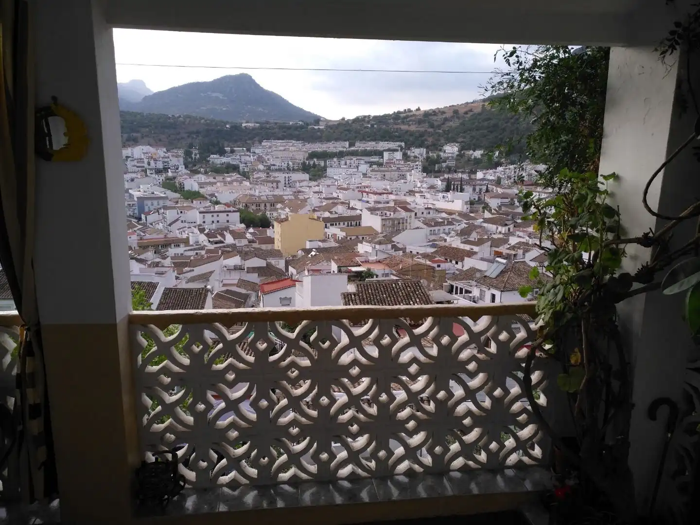 Exterior view of Country homes for sale in Ubrique  with Private garden, Terrace and Storage room