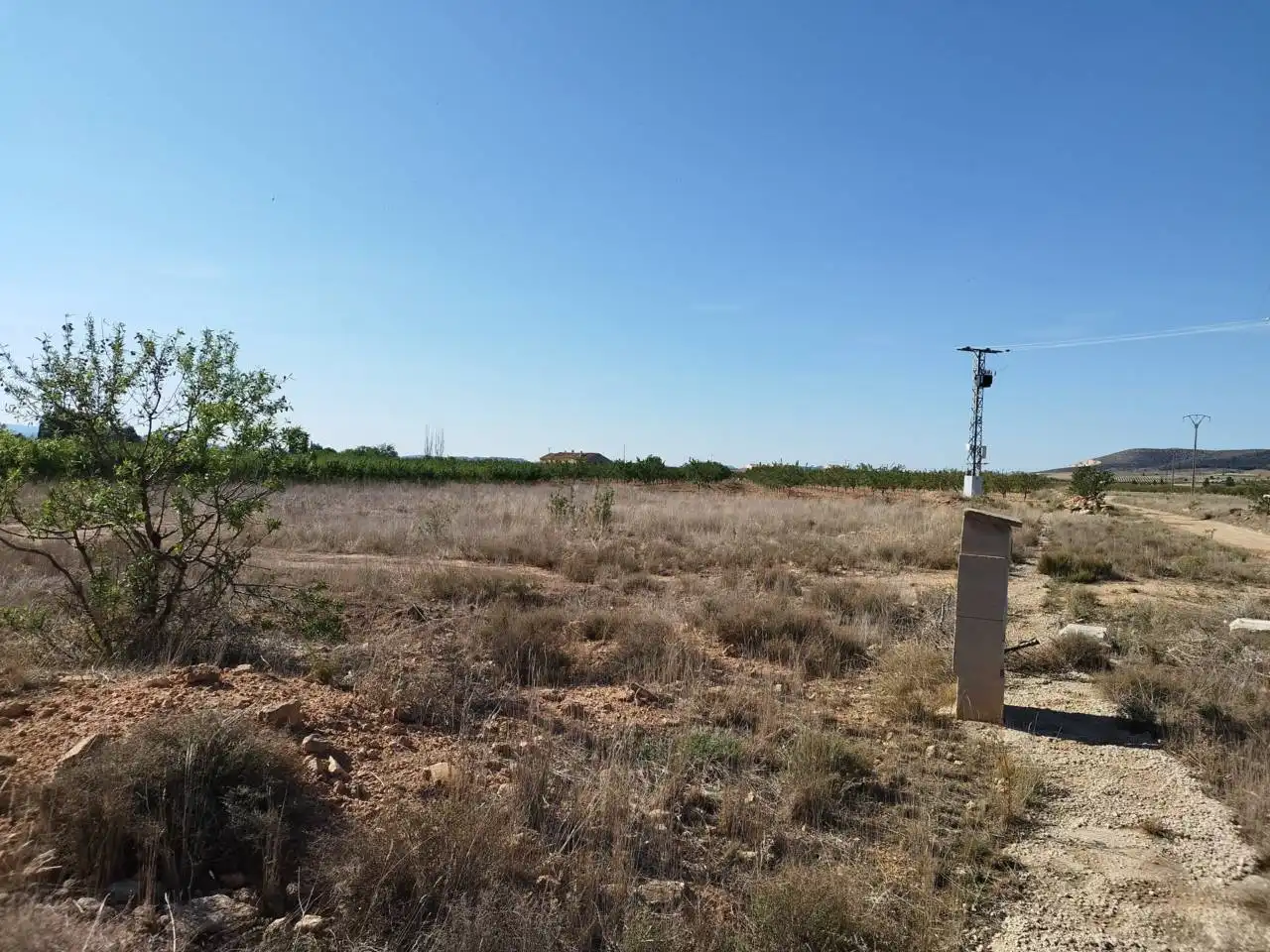 Terreny rústic en venda a Caravaca de la Cruz