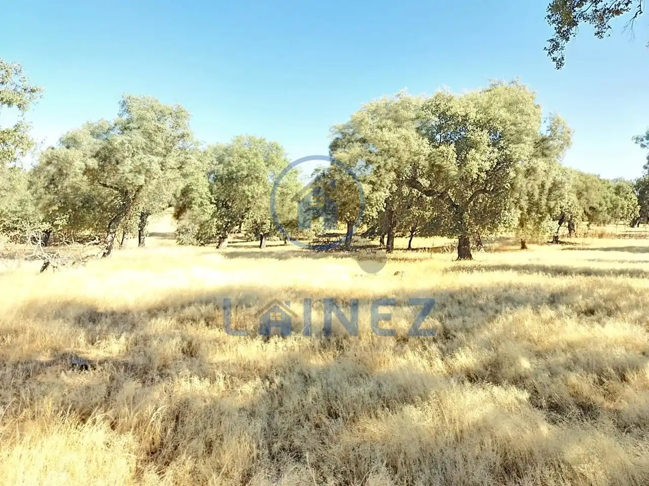 Lands and plots for sale in Fuente Obejuna, imagen 2