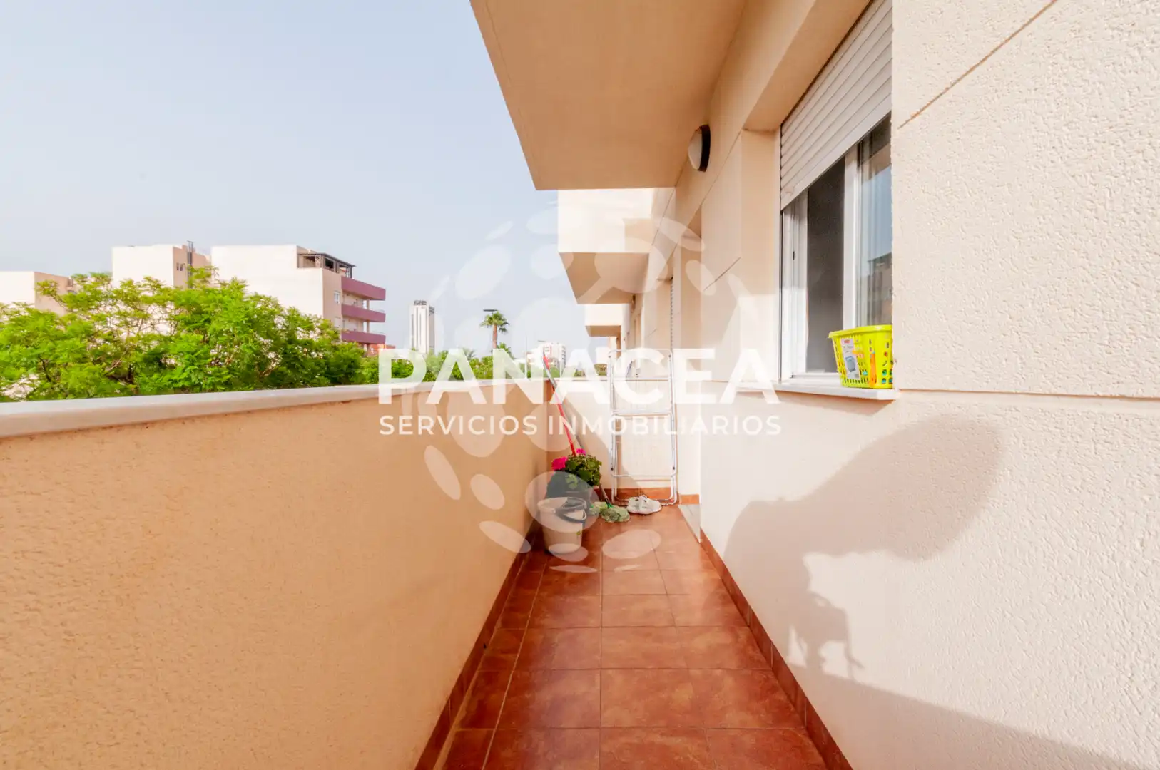 Terraza de Piso en venta en El Ejido con Amueblado, TV y Balcón