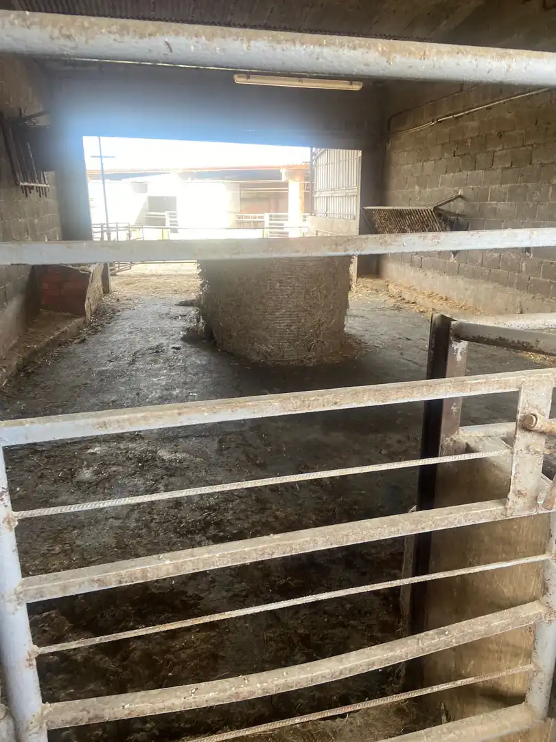 Terreno rústico en venta en Carrer el Portalet, imagen 15