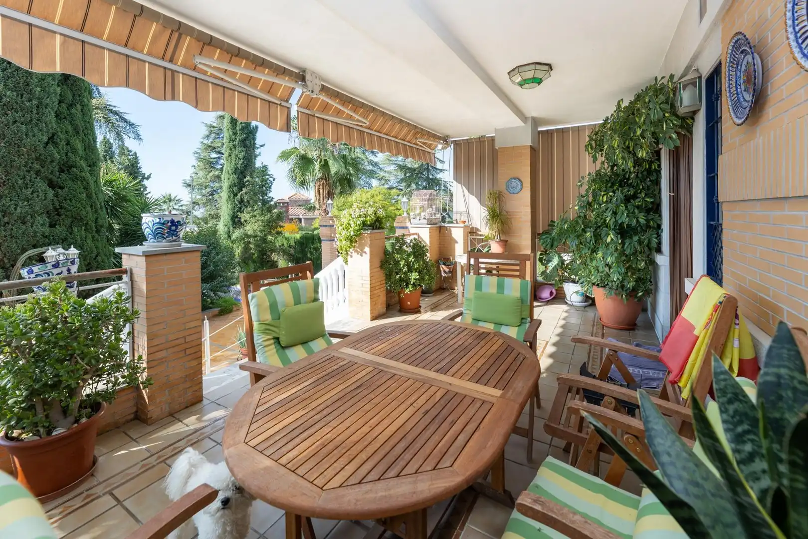 Chalet con piscina en venta en Rotonda del Almez, imagen 10