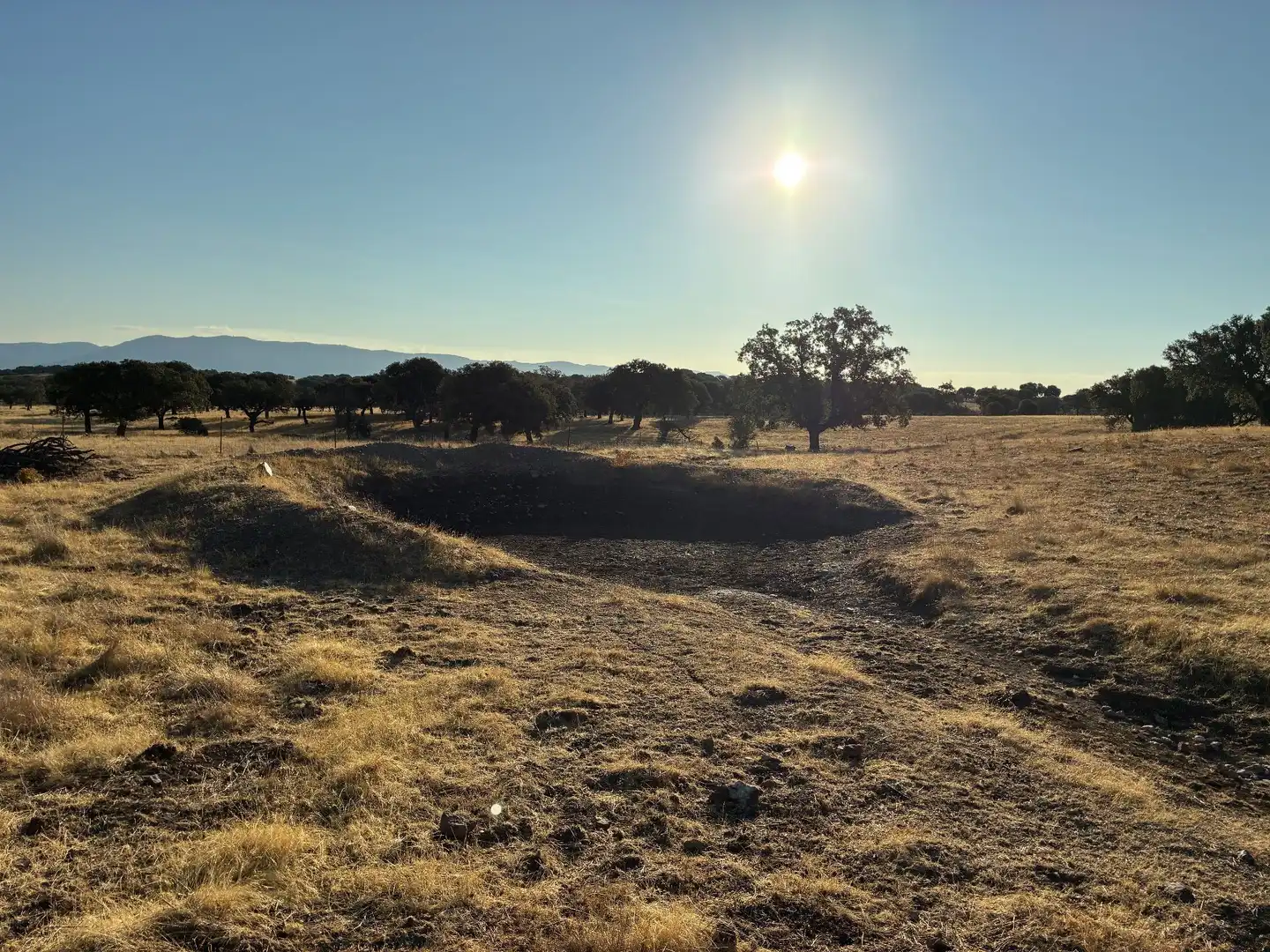 Rural land for sale in Mohedas de la Jara, imagen 5