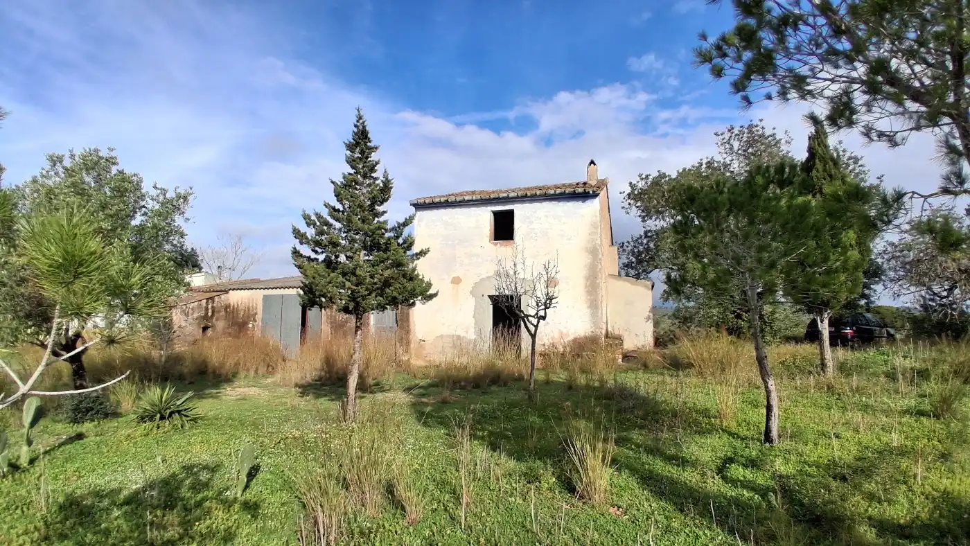 Finca rústica en venta en L'Ampolla