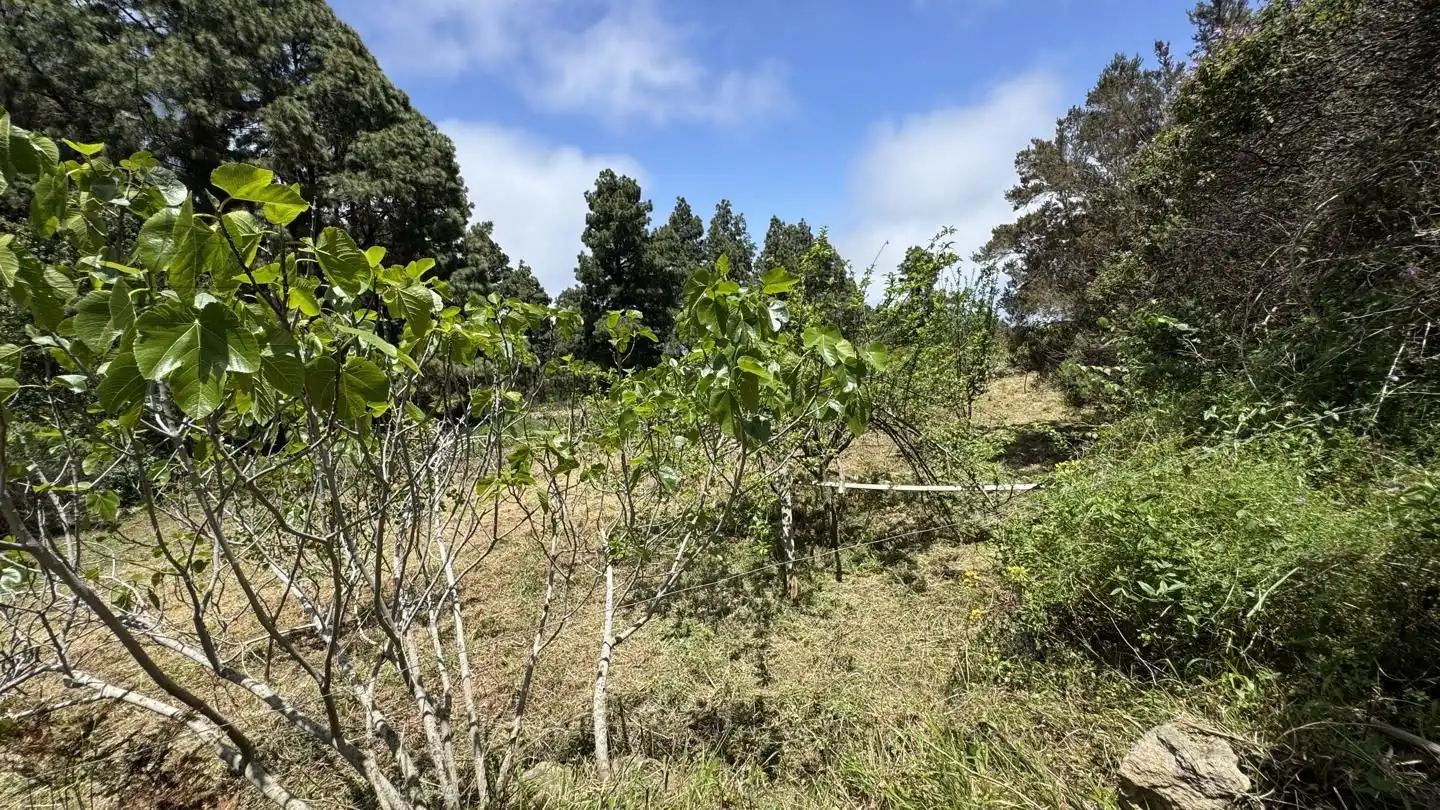 Lands and plots for sale in La Peña 1, imagen 21