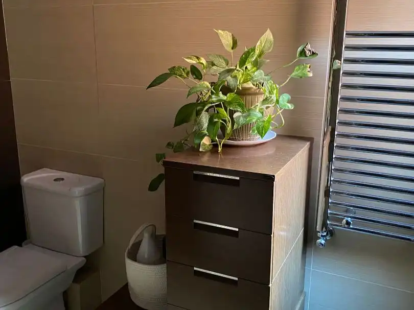 Wohnung mit Pool zum Verkauf in Silvina 1, imagen 14