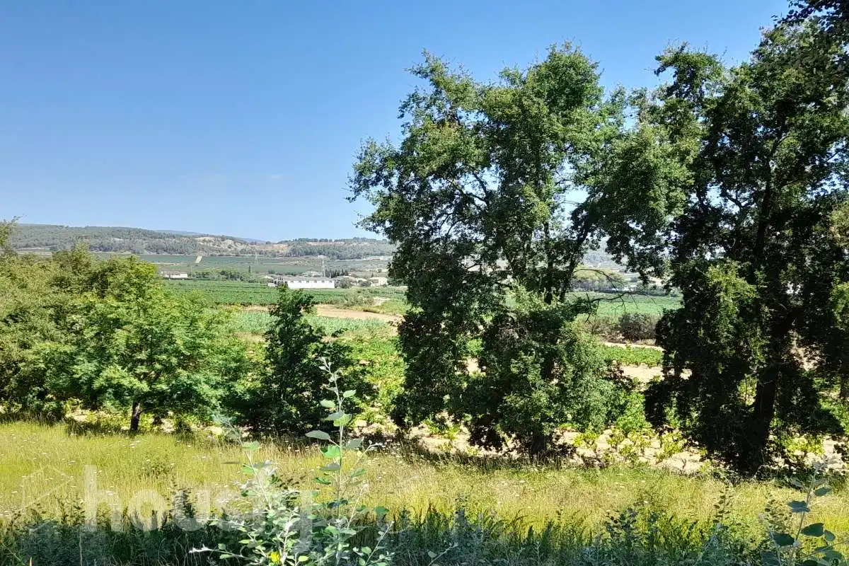 Terreny residencial en venda a Pla de Cavalls, Carrer Golf ., imagen 22