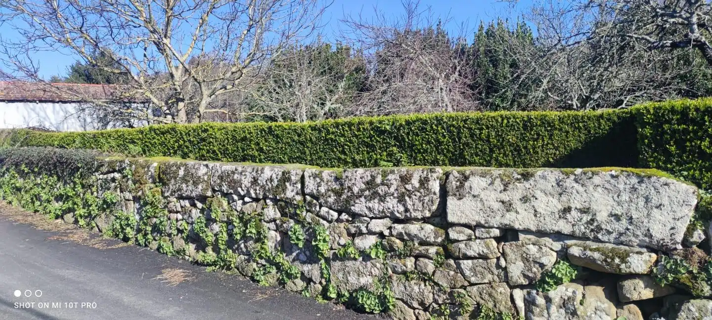 Casa rústica amb jardí en venda a a lama, imagen 30