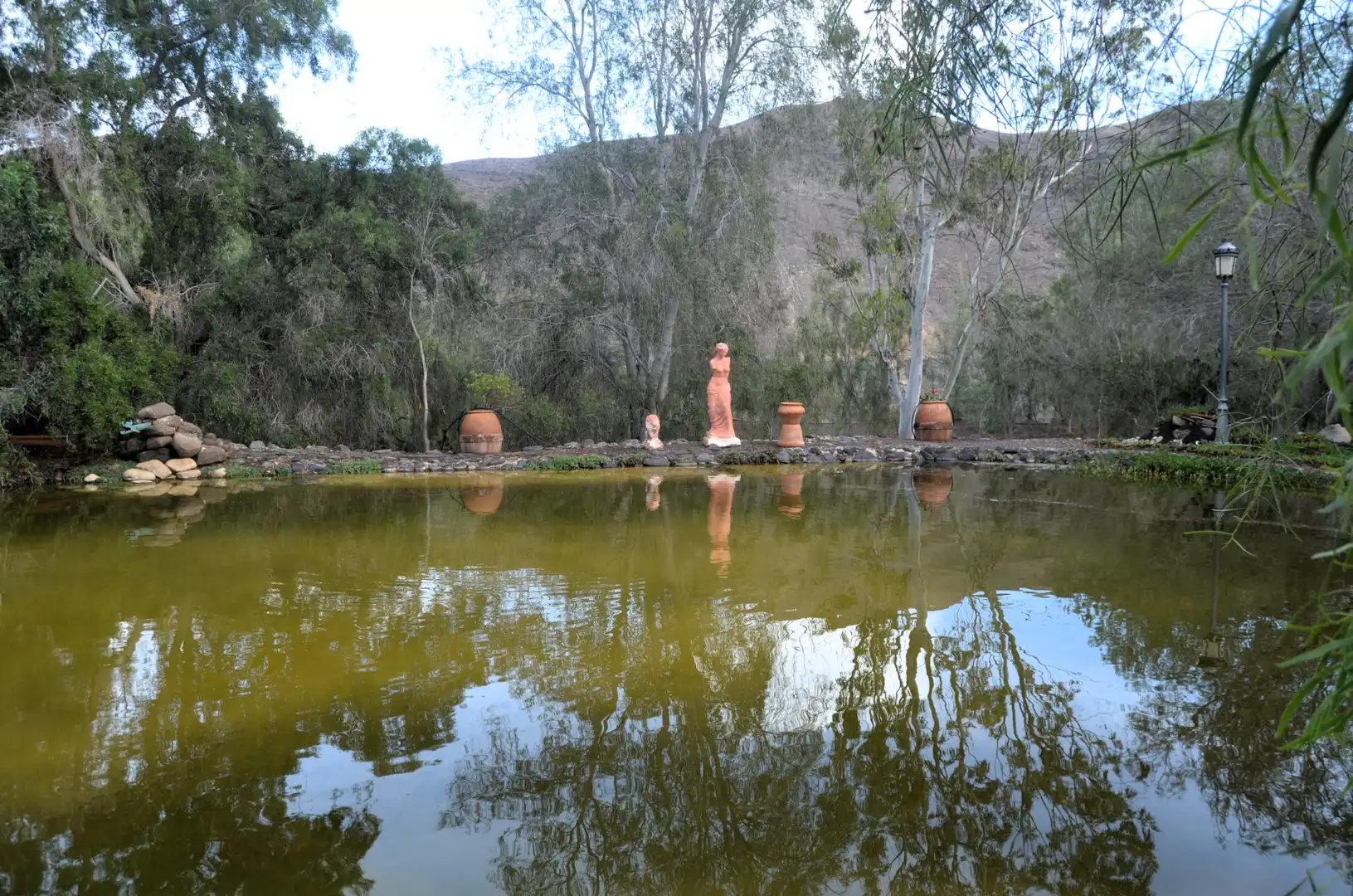 Jardí de Casa o xalet en venda en Pájara amb Jardí privat, Terrassa i Piscina