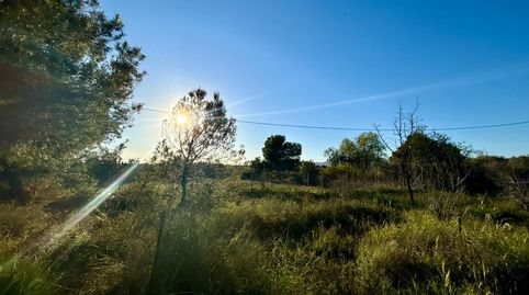 Foto 4 de Finca rústica en venta en La Huerta, Mutxamel