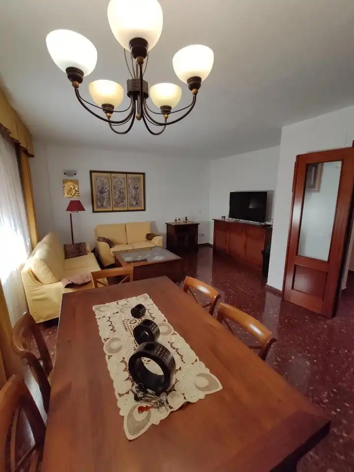 Sala d'estar de Pis de lloguer en Valencia amb Aire condicionat, Calefacció i Moblat