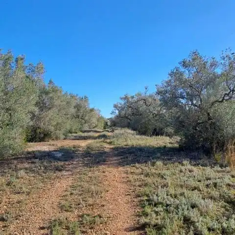 Finca rústica en venda en Tortosa
