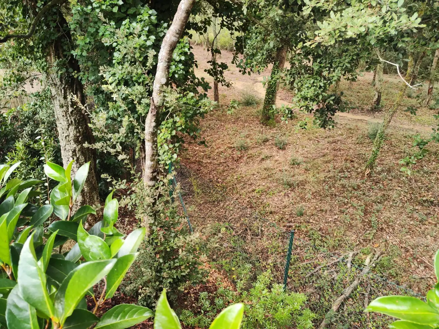 Maison avec piscine à vendre à Llagostera, imagen 19