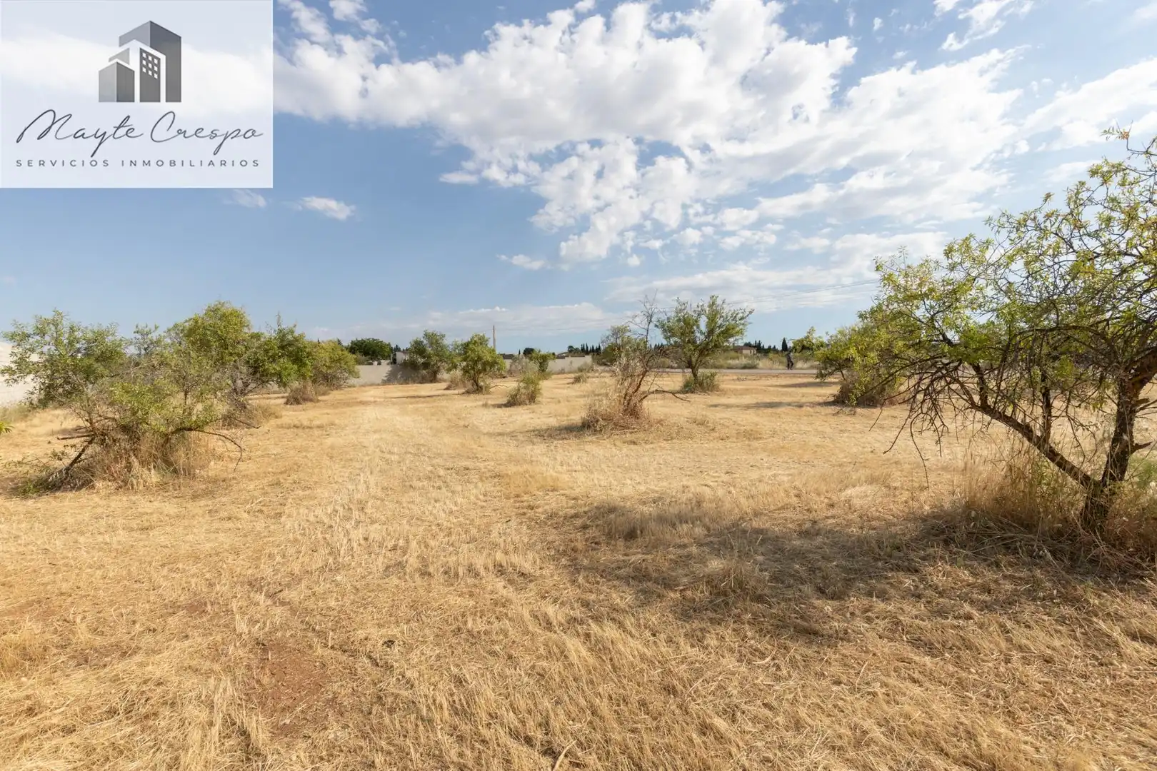 Rural land for sale in Moraleda de Zafayona, imagen 14