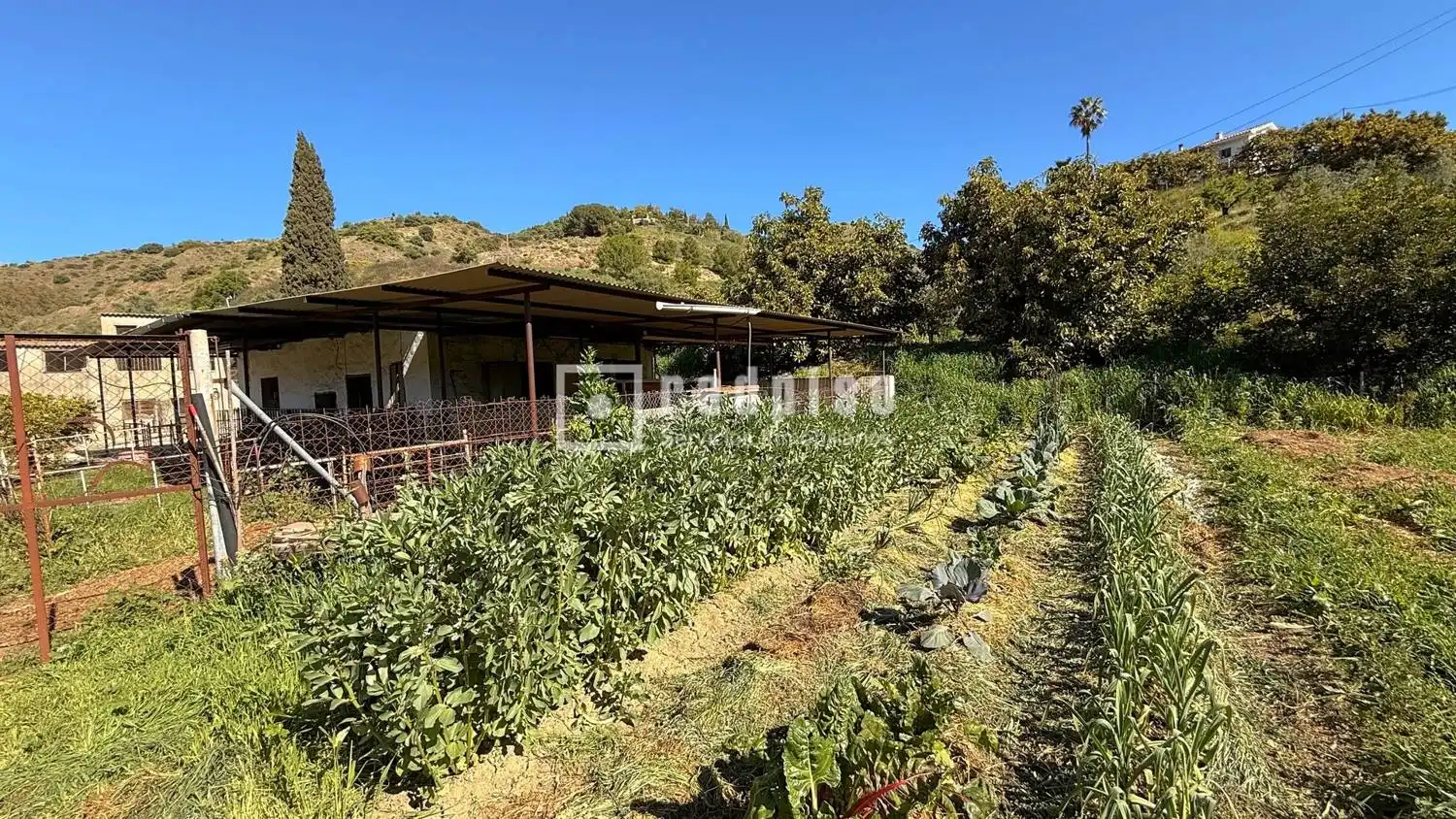 Casa con jardín en venta en Diseminados, imagen 46