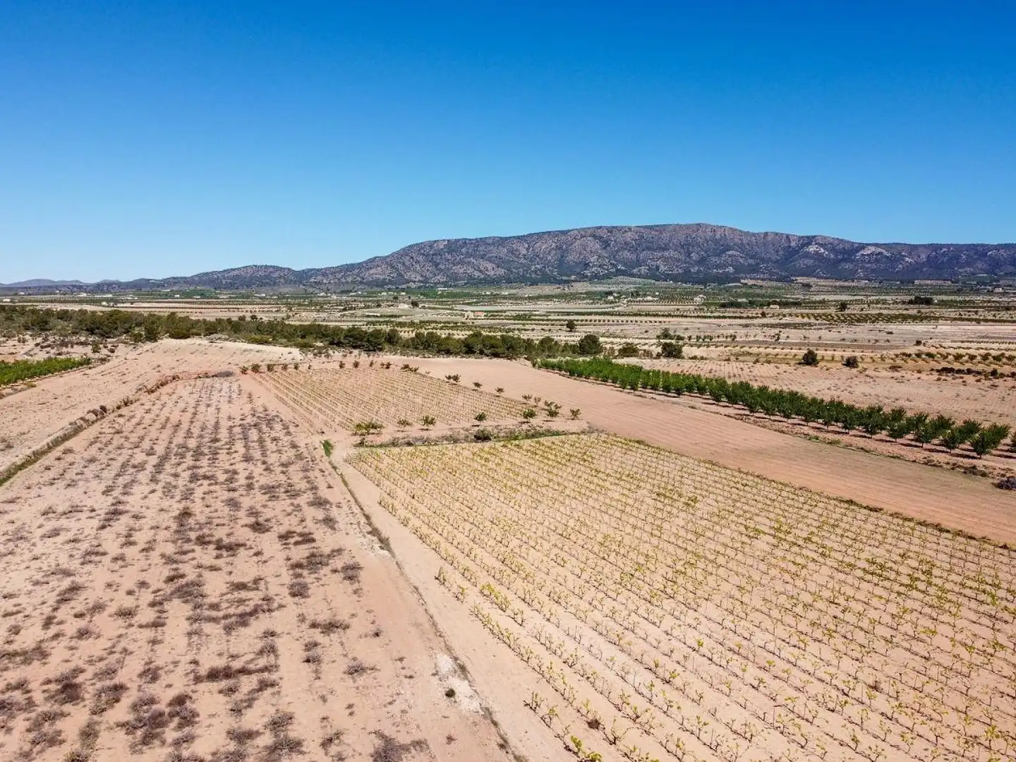 Terreno residencial en venta en El Pinós / Pinoso, imagen 27