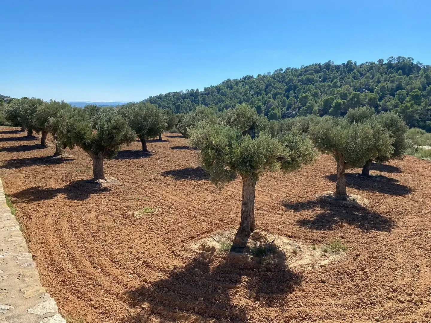 Casa o chalet en venta en Alcañiz con Terraza