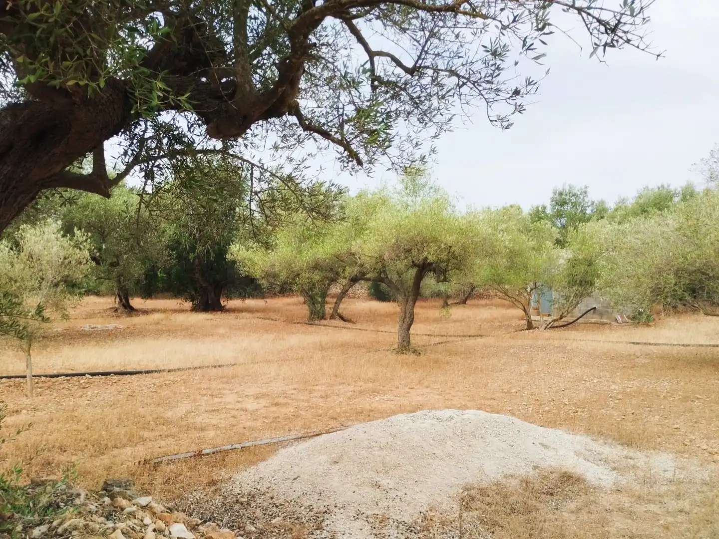 Terrain rustique à vendre à Aldover, imagen 40