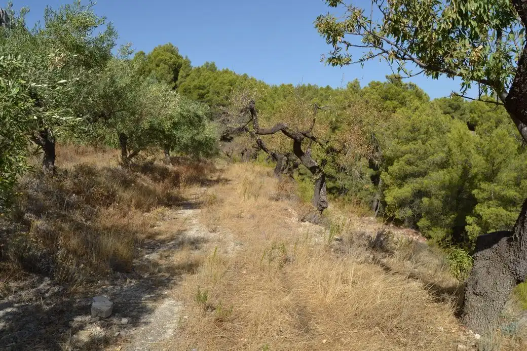 Terrenos y solares en venta en El Castell de Guadalest, imagen 8