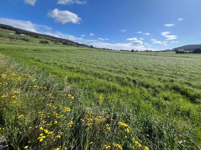 Terreno residencial en Venta en Villanueva en Meruelo