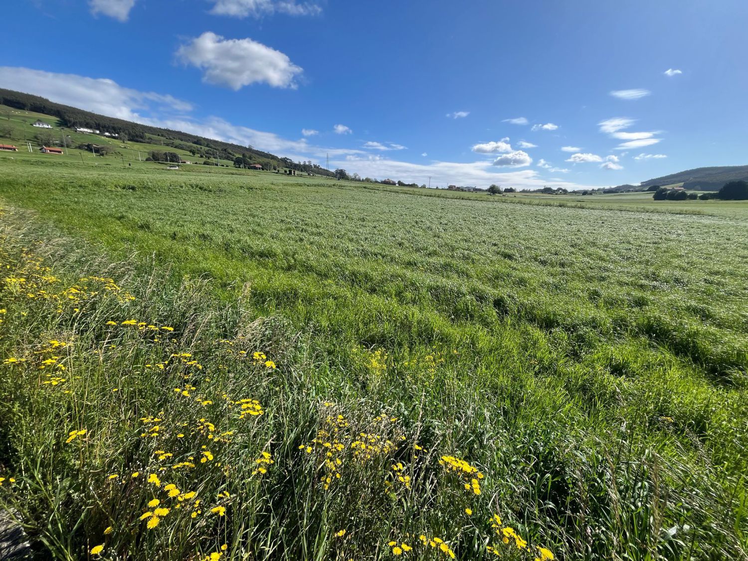 Residencial en venta en Meruelo