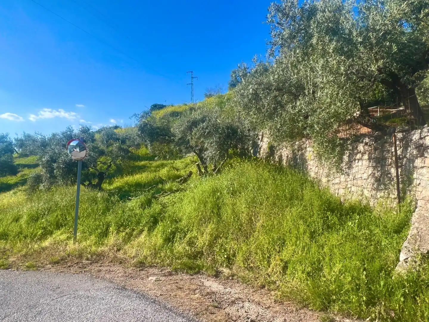 Terreno residencial en venta en Nívar, imagen 4