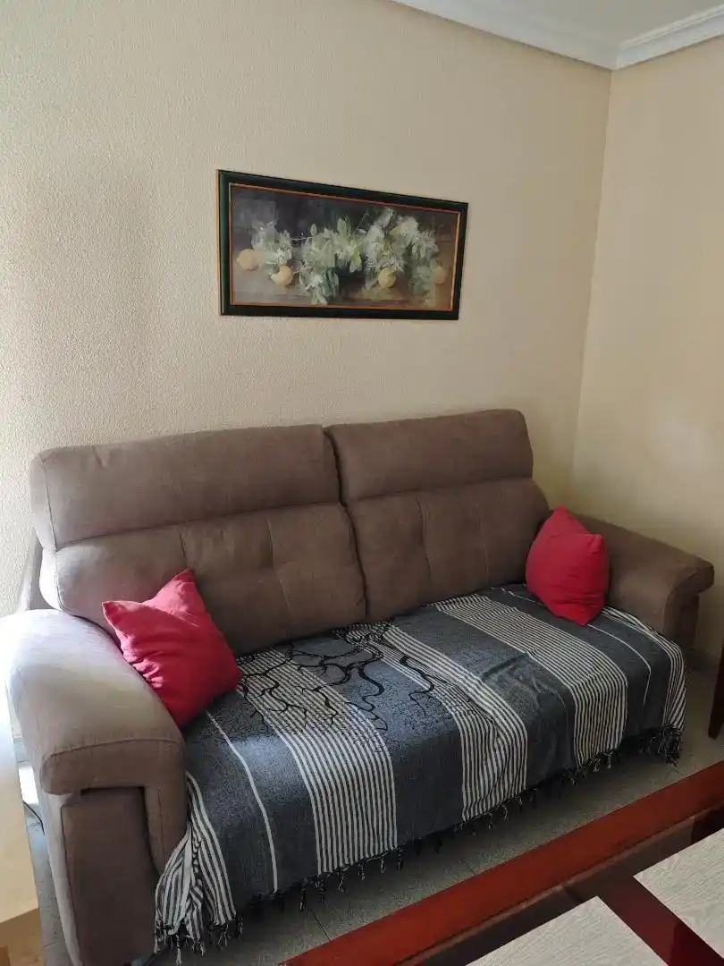 Sala d'estar de Apartament de lloguer en Centro