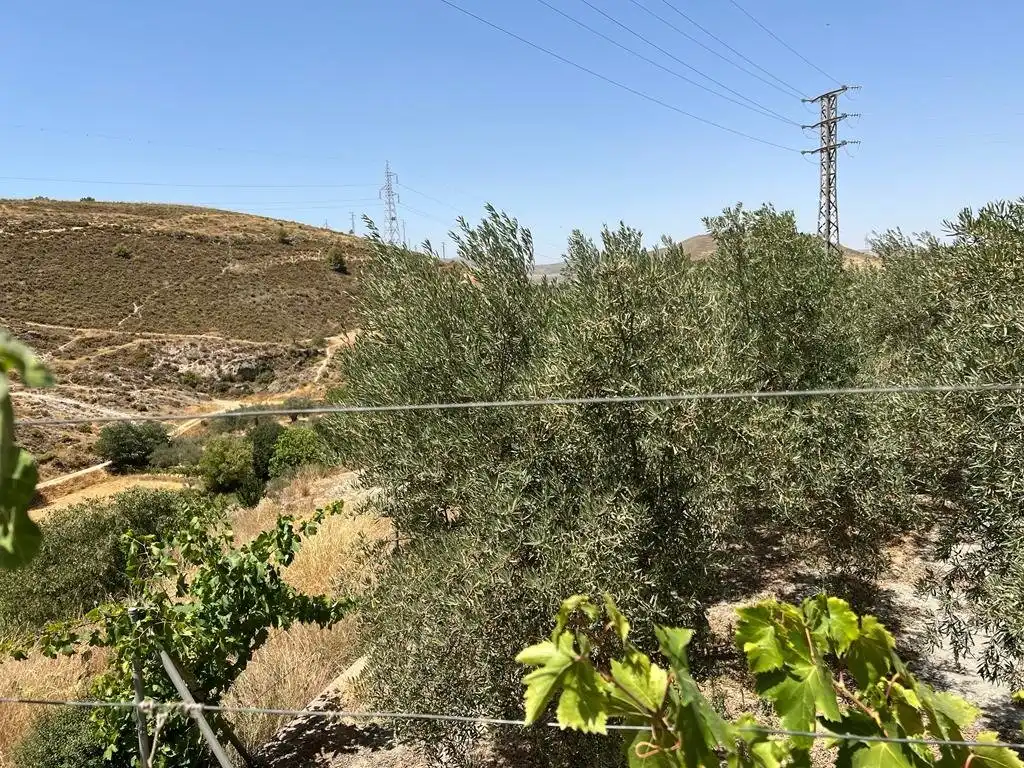 Casa rústica en venda a Villamena, imagen 17